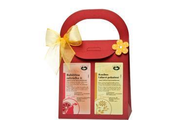 Ovocné léto - dárková taštička